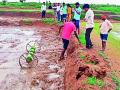 डायरेक्ट पॅडीसिडरद्वारे चिखलावर धान पेरणी - Marathi News | Sowing of paddy on mud by direct pedicider | Latest chandrapur News at Lokmat.com