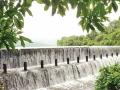पंचनदी धरण भरले - Marathi News | Punchandi dam is full | Latest ratnagiri News at Lokmat.com