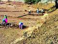 ग्रामपंचायतीत मजुरांचे पुरावेच नाही - Marathi News | There is no evidence of village panchayat workers | Latest gadchiroli News at Lokmat.com