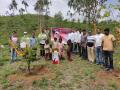 पाच वर्षांपूर्वी लावलेल्या वृक्षांचा वाढदिवस साजरा - Marathi News | Celebrate the birthday of a tree planted five years ago | Latest nashik News at Lokmat.com
