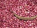  कांद्याची दरात उसळी - Marathi News | Onion prices soared | Latest nashik News at Lokmat.com
