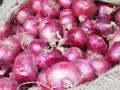 कांदा दरातील मंदी दुर तेजीच्या वातावरणाने उत्पादक सुखावले - Marathi News | The slowdown in onion prices has eased productivity | Latest nashik News at Lokmat.com