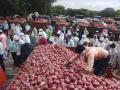 कांदा दरात घसरण - Marathi News | Falling onion prices | Latest nashik News at Lokmat.com