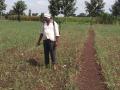 कांदा पिकावर रोगाचा प्रादुर्भाव - Marathi News | Outbreak of disease on onion crop | Latest nashik News at Lokmat.com