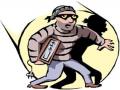 चोर म्हटल्याचा चोरी करून बदला - Marathi News | Change the thief by stealing | Latest nandurbar News at Lokmat.com