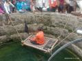 शुद्ध पाण्यासाठी विहीरित खाटेवर बसून आंदोलन - Marathi News | Sitting on a well bed for pure water | Latest nashik News at Lokmat.com