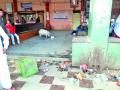 वाशिम बसस्थानक अस्वच्छतेच्या विळख्यात! - Marathi News | WASHIM Bus stand : No cleanliness | Latest vashim News at Lokmat.com
