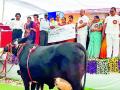 शेतकऱ्यांनी पशुपालन व्यवसायाला वाहून घ्यावे - Marathi News | Farmers should carry on the livestock business | Latest vardha News at Lokmat.com
