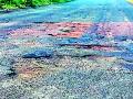 राष्ट्रीय महामार्गच गेला खड्ड्यात - Marathi News | The national highway went into the pit | Latest yavatmal News at Lokmat.com