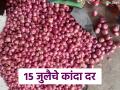 Kanda Market : लासलगाव कांदा मार्केटमध्ये दरात चढ- उतार सुरूच, वाचा काय मिळतोय दर?  - Marathi News | Latest News Kanda Market Lasalgaon onion market prices up down see all market kanda bajarbhav | Latest agriculture News at Lokmat.com
