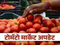 Tomato Market : मुंबईत नंबर एकच्या टोमॅटोची सर्वाधिक आवक, आज काय भाव मिळाला?  - Marathi News | Latest News Tomato Market Highest arrival of number one tomato in Mumbai, see price details | Latest agriculture News at Lokmat.com