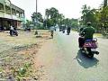 कंत्राटदाराने उचलली 'ती' झाडे - Marathi News | 'The' trees that the contractor picked up | Latest amravati News at Lokmat.com