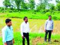 ‘सगुना’ भात लागवड पद्धत शेतकऱ्यांसाठी वरदान - Marathi News | 'Saguna' rice cultivation method boon for farmers | Latest bhandara News at Lokmat.com
