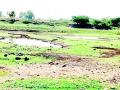 करडी परिसरातील अनेक मध्यम व लघु तलाव कोरडे - Marathi News | Many medium and small lakes in the Kardi area are dry | Latest bhandara News at Lokmat.com