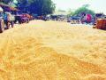 येवल्यातील मका खरेदी बंद - Marathi News | Closing of maize purchases in Yeola | Latest nashik News at Lokmat.com