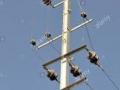 बीएसएनएलच्या कारभाराबाबत ग्राहकांमध्ये संताप - Marathi News |   There is anger among customers about the operation of BSNL | Latest nashik News at Lokmat.com