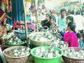 सक्रांतीनिमित्त दररोज २५ लाखांची उलाढाल - Marathi News | Turnover of Rs 25 Lacks daily | Latest gadchiroli News at Lokmat.com