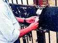 बीएसएनएल कार्यालयाला ठोकले कुलूप - Marathi News | The BSNL office was locked | Latest gondia News at Lokmat.com