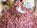 वणीत ६०० रूपयांची घसरण - Marathi News | Rs 600 falls in Wani | Latest nashik News at Lokmat.com