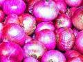जिल्ह्यातील कांदा लिलाव ठप्प - Marathi News |  Onion auction jam in the district | Latest nashik News at Lokmat.com