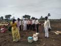 विषबाधा झालेल्या मेंढ्यांवर उपचार - Marathi News |  Treatment for poisoned rams | Latest nashik News at Lokmat.com