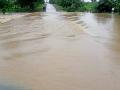 विदर्भात अतिवृष्टीमुळे दाणादाण, प्रमुख मार्ग ठप्प - Marathi News | Heavy rains in Vidarbha lead to blockage of major roads | Latest nagpur News at Lokmat.com