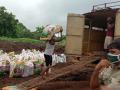 सेंद्रीय खताच्या वाहतुकीसाठी आता बसचा आधार - Marathi News | Bus base now for transportation of organic manure | Latest nandurbar News at Lokmat.com