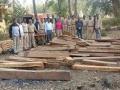 वनविभागाने धाड टाकून जप्त केले सागवानी लाकूड - Marathi News | Forest Department seizes firewood and seizes saagawani wood | Latest nandurbar News at Lokmat.com