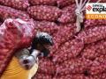 कांदा निर्यात बंदी विरोधात दोन्ही खासदारांचे केंद्राला साकडे - Marathi News | Both the MPs joined the Center against the ban on onion exports | Latest nashik News at Lokmat.com