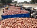 आवक वाढल्याने कांदा भावात घसरण - Marathi News | Falling onions led to fall in prices | Latest nashik News at Lokmat.com