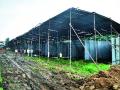 महापालिकेला दहा लाखांचा फटका - Marathi News | 10 lakhs of corporation corporation hit | Latest nashik News at Lokmat.com