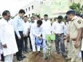 सांगली जिल्हाधिकारी कार्यालय परिसरात वृक्षारोपण - Marathi News | Plantation in Sangli District Collectorate | Latest sangli News at Lokmat.com