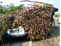 मोटारीवर उसाची ट्रॉली उलटली - Marathi News | The sugarcane trolley turned upside down on the motorway | Latest sangli News at Lokmat.com