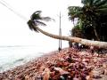 मालवण किनारपट्टीला लाटांचा तडाखा - Marathi News | Surf Coastline | Latest sindhudurga News at Lokmat.com