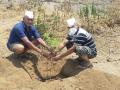 आईच्या वयाइतके ७१ कडूलिंब वृक्षांचे रोपण - Marathi News | Planting of 71 neem trees up to mother's age | Latest nashik News at Lokmat.com