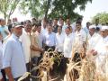 पालकमंत्र्यांकडून दुष्काळी भागाची पाहणी - Marathi News | Inspection of drought-affected areas by Guardian Minister | Latest nashik News at Lokmat.com