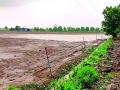 राष्ट्रीय महामार्गाच्या कामामुळे शेती झाली जलमय - Marathi News | The work on the National Highway made agriculture waterlogged | Latest vardha News at Lokmat.com