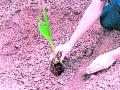 खड्ड्यांचा खर्च शासकीय यंत्रणांच्या माथी - Marathi News | The cost of the potholes is on the basis of government machinery | Latest nashik News at Lokmat.com