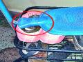 उबदार जागेच्या शोधात साप येताहेत घरांत - Marathi News |  Looking for a warm place to find snakes in the house | Latest nashik News at Lokmat.com