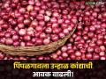 Kanda Bajarbhav : लाल कांदा आवक घटली, उन्हाळ कांद्याला काय भाव? वाचा आजचे बाजारभाव - Marathi News | Latest News Kanda Bajarbhav todays onion market price in market yard check here kanda market | Latest agriculture News at Lokmat.com