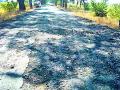 रस्त्यावरील खड्डे अजूनही कायम - Marathi News | The potholes on the road still persisted | Latest amravati News at Lokmat.com