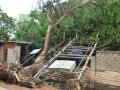Tauktae Cyclone; वादळासह मान्सूनपूर्व पावसाचा अमरावती शहराला तडाखा; झाडे उन्मळली - Marathi News | Tauktae Cyclone; Pre-monsoon rains along with storms hit Amravati city; The trees uprooted | Latest amravati News at Lokmat.com