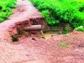 पांदन रस्ता गेला वाहून - Marathi News | The levee carried the road | Latest chandrapur News at Lokmat.com