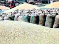 सोयाबीनला भाव मिळाला तरच शेतकऱ्यांची दिवाळी गोड - Marathi News | Farmers' Diwali will be sweet only if soybeans get a price | Latest chandrapur News at Lokmat.com