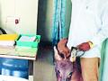 बांधकाम विभागाच्या कार्यालयात नेले गाढव - Marathi News | The donkey was taken to the construction department office | Latest chandrapur News at Lokmat.com
