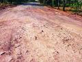 डांबरी रस्ते झाले मातीमय - Marathi News | The paved roads became muddy | Latest gadchiroli News at Lokmat.com