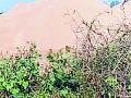 रेतीघाटांचा लिलाव वांद्यात - Marathi News | Auction of sand in problem | Latest gadchiroli News at Lokmat.com