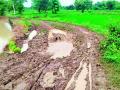 पांदण रस्त्याची दुरवस्था; शेतकरी त्रस्त - Marathi News | Poor road condition; Farmers suffer | Latest gadchiroli News at Lokmat.com