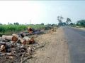 रस्ता रुंदीसाठी वृक्षांची कत्तल - Marathi News | Slaughter of trees for road width | Latest chhatrapati-sambhajinagar News at Lokmat.com