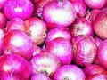 कांदा अनुदान मागणी अर्जाच्या मुदतीत वाढ - Marathi News | Increase in the application deadline for the demand for onion grant | Latest nashik News at Lokmat.com